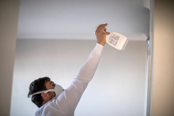 Best Attic Mold Removal  in Florence, MS