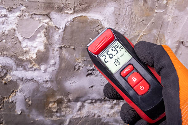 Best Crawl Space Mold Removal  in Florence, MS