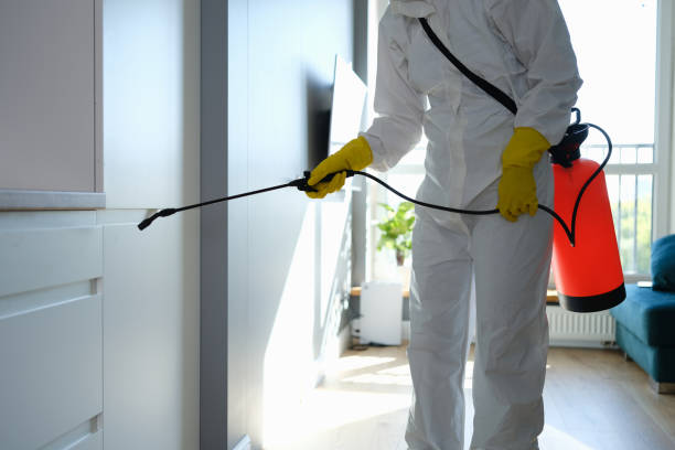 Best Commercial Mold Removal  in Florence, MS